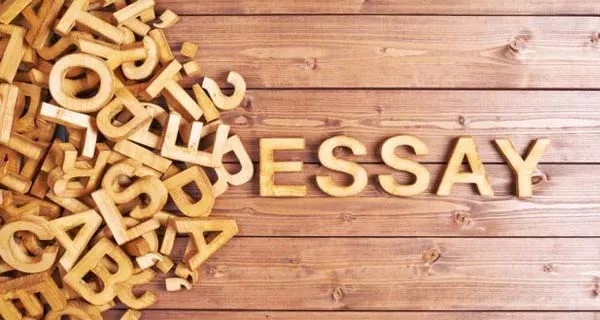 Essay Blocks Banner